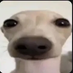 creator el insano golozo's avatar