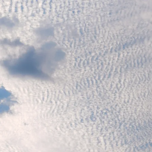 creator Talkior-GZluYVWg's avatar