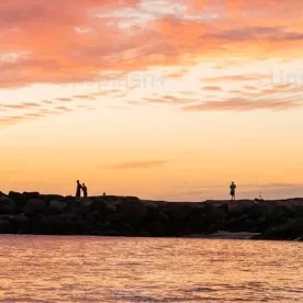 creator talkieeeeeeee's avatar