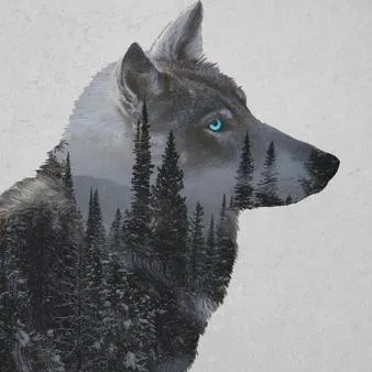 creator TaylorLames's avatar