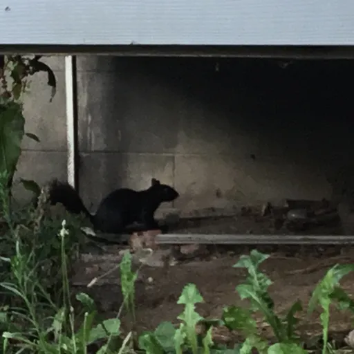 creator Lexi2354's avatar