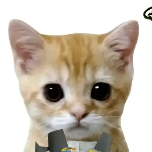 creator ♥AQUÍLES♥'s avatar