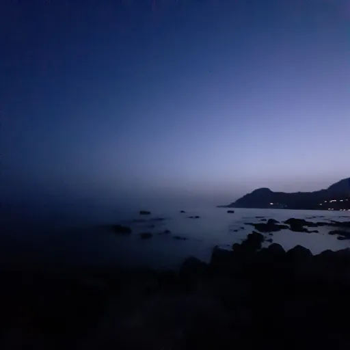 creator cat lover 🐱💜💜💜's avatar