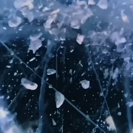 creator Talkior-YHF8i3fQ's avatar