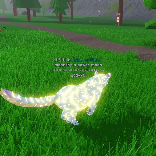 chat with ai character: all you want