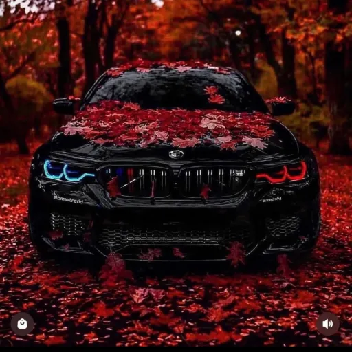 creator 𝙰!𝚗𝚝¥our𝕄@𝕟's avatar