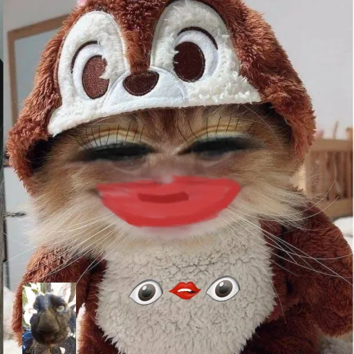 creator Anelisse ♡~'s avatar