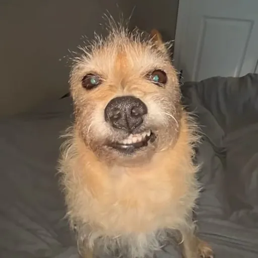 creator unknown username 😔's avatar