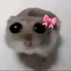 creator Talkior-CX8MIDrW's avatar