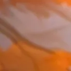 chat with ai character: hh