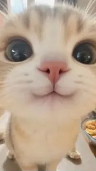 ai character: Un chat background