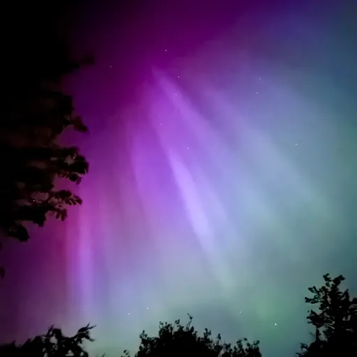 creator alpha{'s avatar