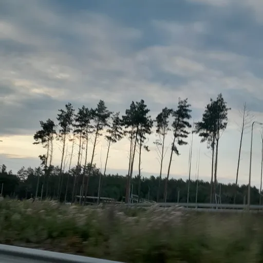 creator Kim Lia Evelyn's avatar