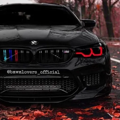 creator Sadake's avatar