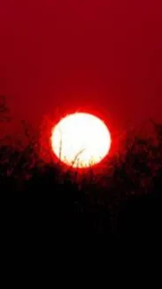 ai character: zombie apocolypse background