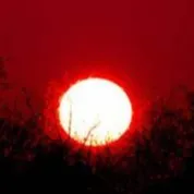 chat with ai character: zombie apocolypse