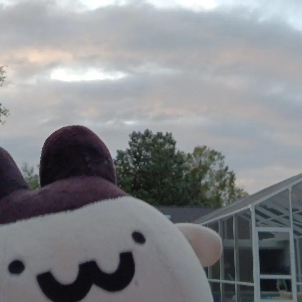 chat with ai character: Nice Day Kirbi