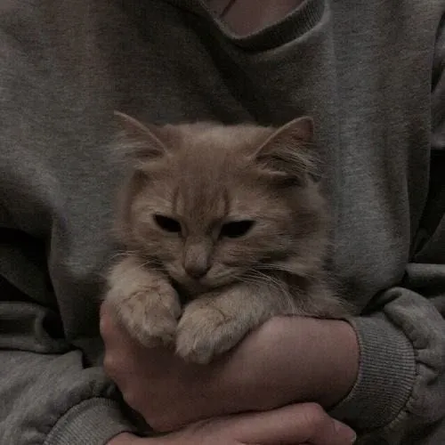 creator Jih-hyun🖤's avatar