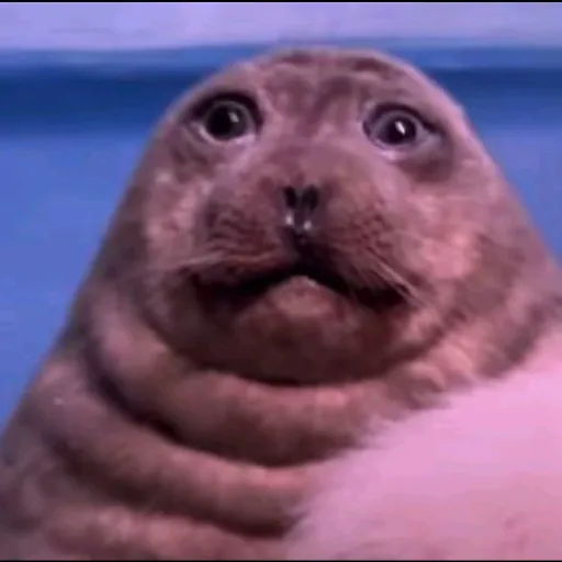 creator idk_onpintrest's avatar