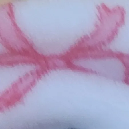 creator 👻Luna Smith👻's avatar