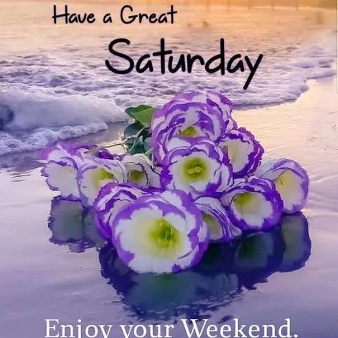 creator Nicole Dordin's avatar