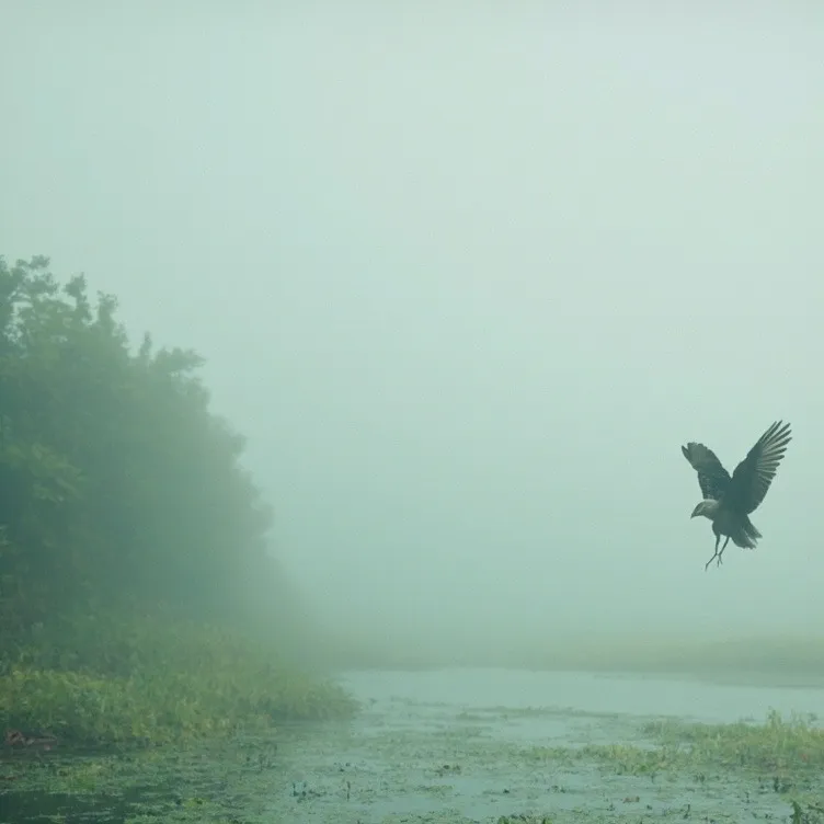 chat with ai character: Brasil♡