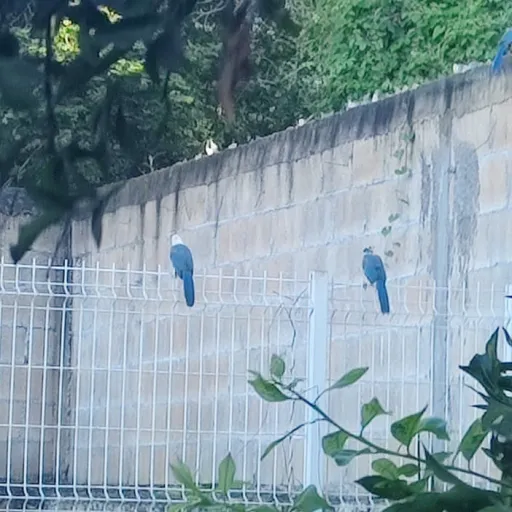 creator Osvkdoosh's avatar