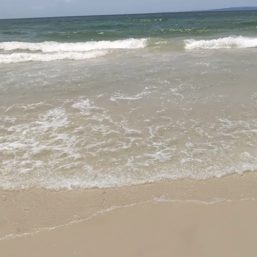 creator Tallarahroberts58's avatar