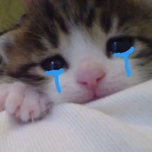 creator pretty yara's avatar