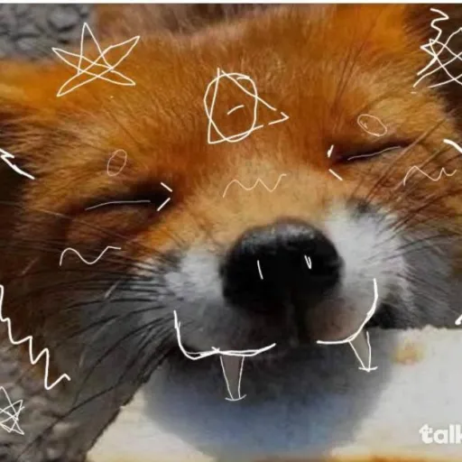 creator luner/dr dragons's avatar