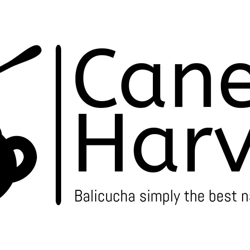 chat with ai character: sussy