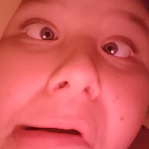 creator luna the cat 16's avatar