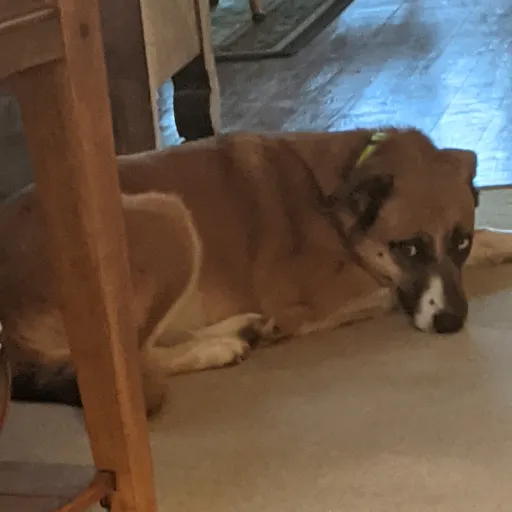 creator BESTEESSSSSLAYYYYY's avatar