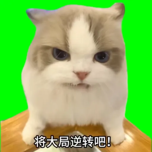 creator thecutiecats!!'s avatar