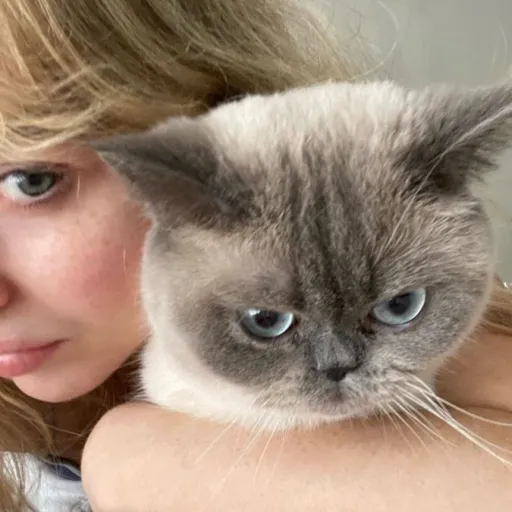 talkie's author avatar