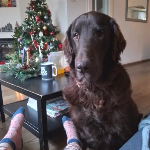 creator Talkior-sJDVwjGw's avatar