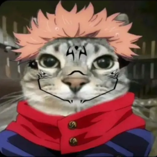 creator jujutsu talkies's avatar