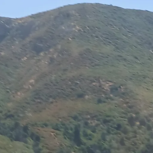 creator .l.o.l.o's avatar