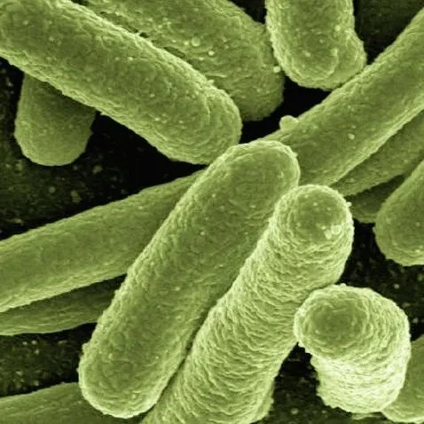 chat with ai character: Your Bacteria