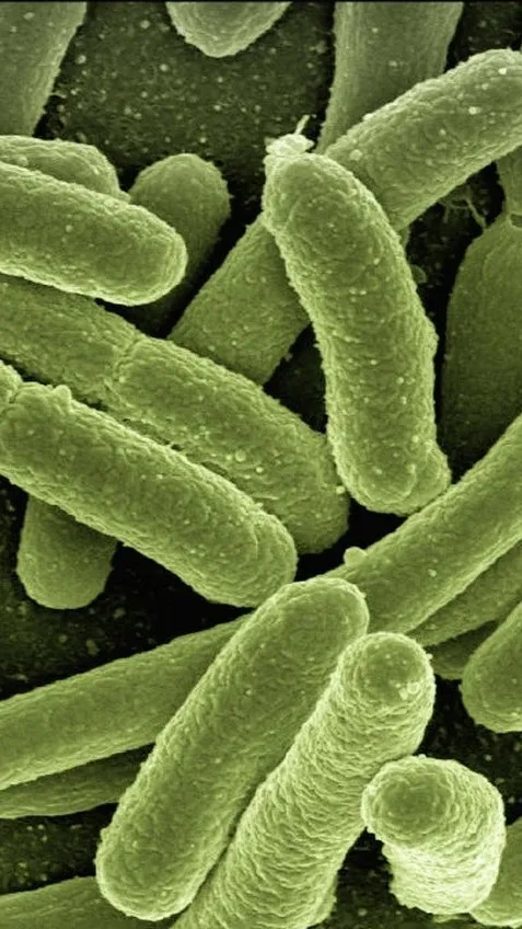 ai character: Your Bacteria background