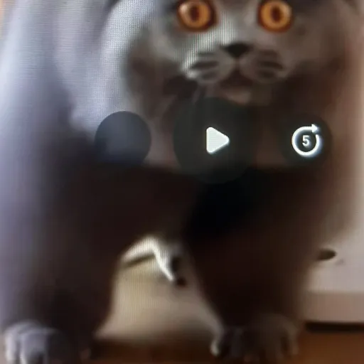 creator axeltheboy's avatar