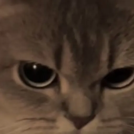 creator Jane Teow_0117@'s avatar