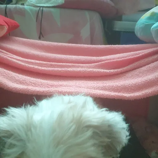 creator lil_paul's avatar