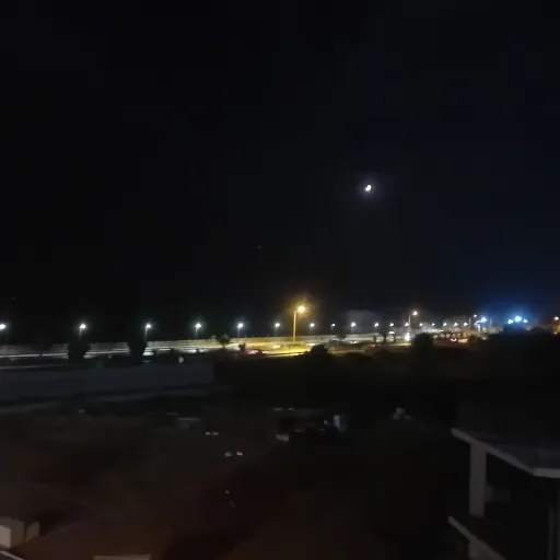 creator mia /lilly's avatar