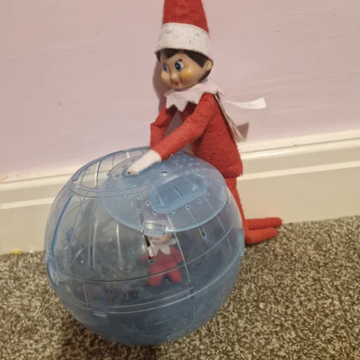 creator Lauren ✅️ harrisok's avatar