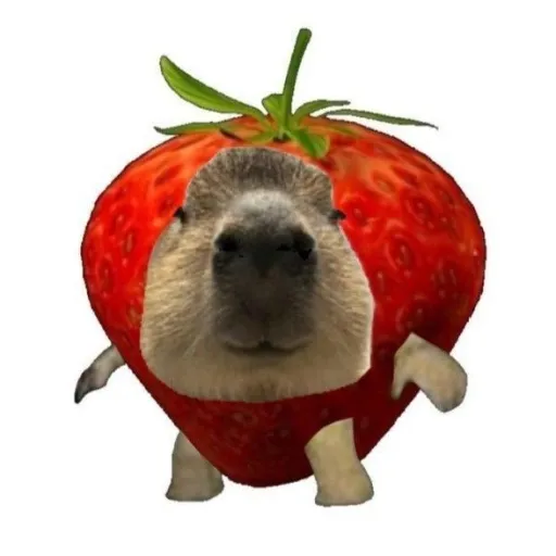 creator queso frito's avatar