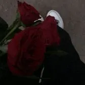 creator ananyasnowman ⎧'s avatar