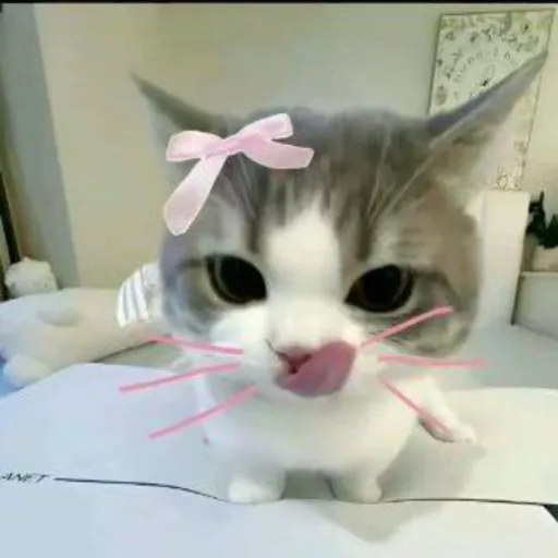 creator 🍡🍥Mikau_Chan🍥🍡's avatar