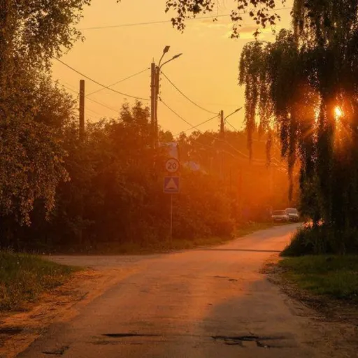 creator 🐾☆ føxƴ føx̌ ☆💀's avatar