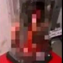 chat with ai character: Cat blender..